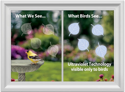 WindowAlert Aspen Leaf Anti-Collision Decal - UV-Reflective Window Decal to Protect Birds from Glass Collisions