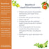 (16 oz.) Liquid Citrus Essentials | fl. | Increase Yield and Health of Citrus Trees | Liquid Fertilizer for Citrus
