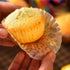 600PCS/Set Muffin Cupcake Paper Cups, Cake Forms Cupcake Liner Baking Muffin Box Party Tray Decorating Tools