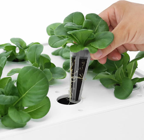 60 ID-IG201) iDOO Growth Sponges Pcs, Replacement Hydroponics Sponges Compatible with AeroGarden LYKO and All Indoor