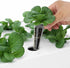 60 ID-IG201) iDOO Growth Sponges Pcs, Replacement Hydroponics Sponges Compatible with AeroGarden LYKO and All Indoor