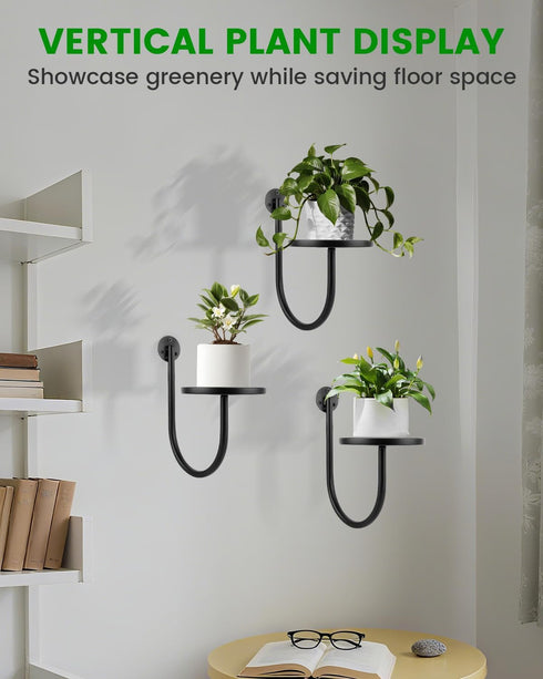 (3 Pack) Wall Planters for Indoor Plants, Mounted Holder Shelf, Metal Plant Wall Hanger, Decorative Plant Shelf