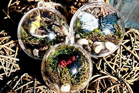 Plastic Ball Ornament, Clear, 70mm, Pack of 12