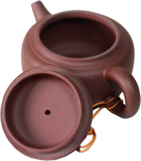 Zisha Clay Teapot, 8oz Chinese Tea Pot Ceramics Purple Sand Pot, Kungfu Tea Kettle with Filter for Loose Tea