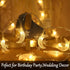 Fielegen 40 LED Moon String Lights - Battery Operated 20ft Mini Star Fairy Lights for Garden, Wedding, Party Decorations