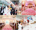 1000 Pcs Artificial Silk Rose Petals, Light Blue Decoration for Wedding Party