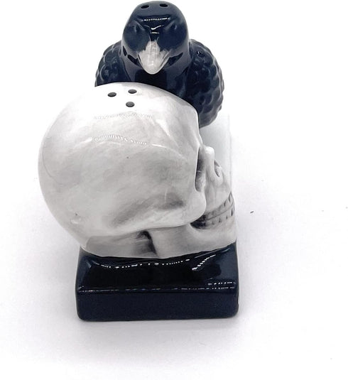 Rustix Quoth The Raven Ceramic Gothic Halloween Decor, Cute Skull Horror Salt and Pepper Shaker Set for Kitchen