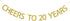 Gold Glitter Cheers to 20 Years Banner - 20th Birthday / Wedding Anniversary Decorations