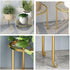 Hewnda 1 Pack Sturdy Gold Metal Plant Stand - Heavy Duty Indoor/Outdoor Use