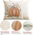 RABUSOFA Outdoor Fall Decor Pillow Covers 18x18 Inch, Waterproof Pumpkin Pillow Cases Set of 4, Thanksgiving
