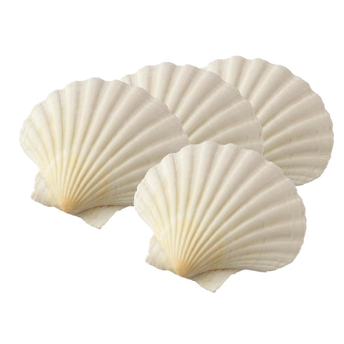Maine Man Natural Baking Shells - 4-Inches, Set of 4