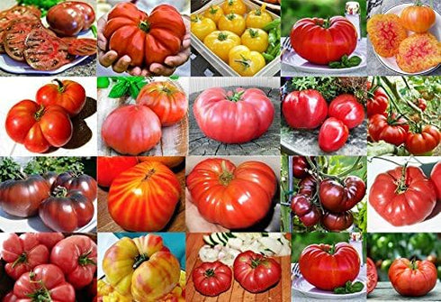 Harley Seeds Mixed Seeds 30 Giant Tomato Seeds, Mix of 19 Varieties, Heirloom Non-GMO,
