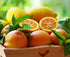 Ficoszo Pack 6 Mulberry (600pcs) Fruit Seeds Combo - Types, Strawberry Raspberry Apple Orange Blueberry Seeds, Non-GMO