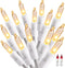 ODEETRONIC Warm Christmas Lights - 21.63ft 100 Count Steady & Blink Clear Lights for Indoor Outdoor Party