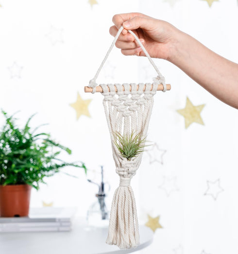 4 Pack Melphoe Air Plants Holders Stand Air Fern Macrame Plant Hanger Indoor Hanging Planter Basket for Tillandsias