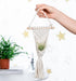 4 Pack Melphoe Air Plants Holders Stand Air Fern Macrame Plant Hanger Indoor Hanging Planter Basket for Tillandsias