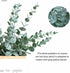 20pcs Faux Eucalyptus Stems Flowers, Short Artificial Greenery Decoration for Floral Arrangement, Wedding Home