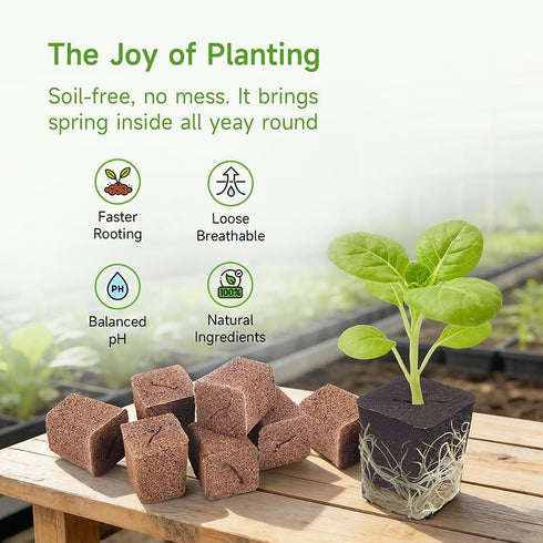 SIETAMIS 50 Packs Cuttage Grow Sponges, Pods Root Growth Sponge Eco Friendly PH Balance, Square Sponge Replacement Part