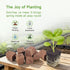 SIETAMIS 50 Packs Cuttage Grow Sponges, Pods Root Growth Sponge Eco Friendly PH Balance, Square Sponge Replacement Part