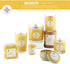 Root Candles Seeking Balance Spa Traveler Candle, 4-Ounce, Cedar Verbena Enlighten
