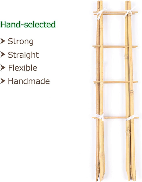 24 Inch 3 Pack Cambaverd Trellis for Potted Plants, Bamboo Trellis Indoor, Natural Garden Trellis for Climbing Plant