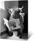 KOEUIRW Funny Highland Cow Bathroom Canvas Wall Art, Black and White Longhorns Poster for Bathroom Decor
