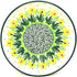 Polish Pottery Plate - Bread & Butter (6 1/4") in Daffodil Design