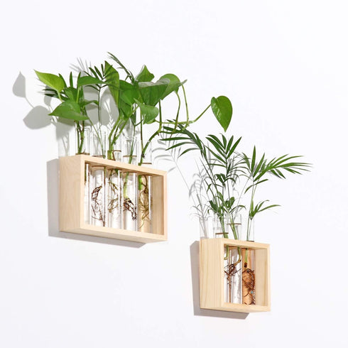 5 Kingbuy Wall Propagation Station with Test Tube Vases - Vintage Wood Stand Wall Hanging Planter for Plants, Tabletop