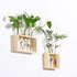 5 Kingbuy Wall Propagation Station with Test Tube Vases - Vintage Wood Stand Wall Hanging Planter for Plants, Tabletop