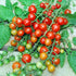 Harley Seeds 30 Sweet Pea Currant Tomato Seeds, Heirloom Non GMO, Extra Sweet and Heavy Yielding, Low Acid