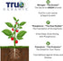 4lb 70 True Organic Citrus & Avocado Food Organic Fertilizer for Lush Foliage and Abundant Fruit Bag Covers Sq. Ft.