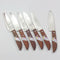 Thai Kitchen Steak Knives Set, Stainless Steel Kiwi 503, 6 Pcs