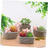 Yardwe Ceramic Planter, Unique Cactus Pot, Decorative Airplant Pot, Mini Container for Bonsai or Desk Topper