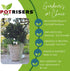 POTRISERS 2" 2" 3/4" 12 3 Large x x - Pieces Outdoor Plant Risers & Drainage Invisible Pot Feet Elevates up