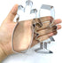 LILIAO Stainless Steel Champagne and Champagne Glass with Ribbon Cookie Cutter for Wedding/Engagement
