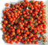 Harley Seeds 30 Sweetie Cherry a.k.a. Sugar Sweetie Tomato Seeds, Heirloom Non-GMO, Extra Sweet, Heavy-Yielding