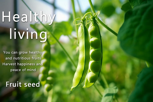 Ficoszo 35 10 Vegetable Seeds Kit Fruit Seeds for Planting Non-GMO and Heirloom Varieties Seeds for Planting Vegetables