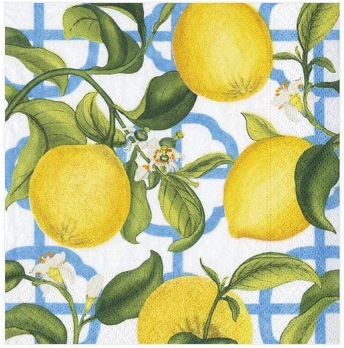 Caspari Cocktail Napkins Seville Paper, Ivory, 20 Per Package (11910C)