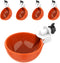 Lil'Clucker Large Automatic Chicken Waterer Cups | Chicken Water Feeder Suitable for