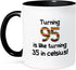 3dRose 95 Is Like Turning 35 In Celsius Mug, Humorous 95th Birthday Gift, 11 oz, Black