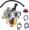 WFLNHB Carburetor Replacement for Troy-Bilt Storm 2410 2420 2620 2690 2690XP 170-SU 270 Snow Blower