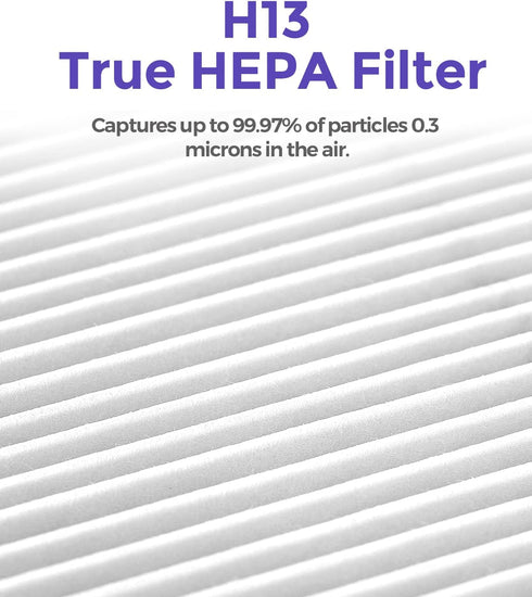 1-Year Pack Air Purifier Replacement Filter for AP001R, True HEPA Filter, 4 Pack