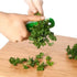 2Pcs Green Leaf Herb Stripper, Vegetable Eliminator Comb for Kale, Chard, Collard Greens, Kitchen Utensils
