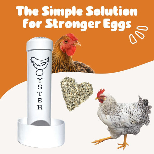 Revolutionary Chicken Oyster Shell Feeder for Chickens