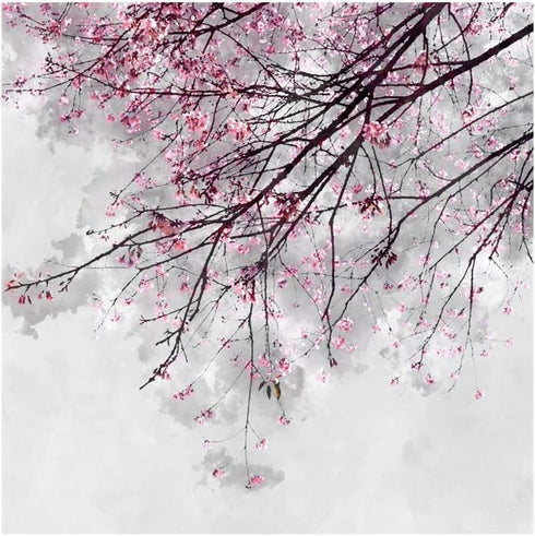 OERJU Cherry Blossoms Shower Curtain, Pink Flower Japanese National Flower, Waterproof Polyester Bathroom Decor Set