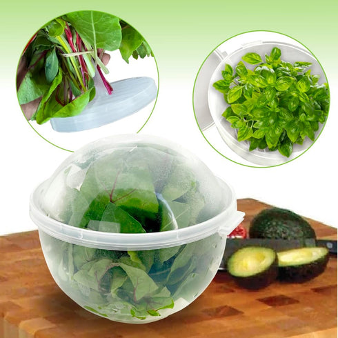 Trenton Gifts Lettuce and Vegetable Storage Keeper - 7" x 8"