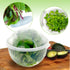 Trenton Gifts Lettuce and Vegetable Storage Keeper - 7" x 8"