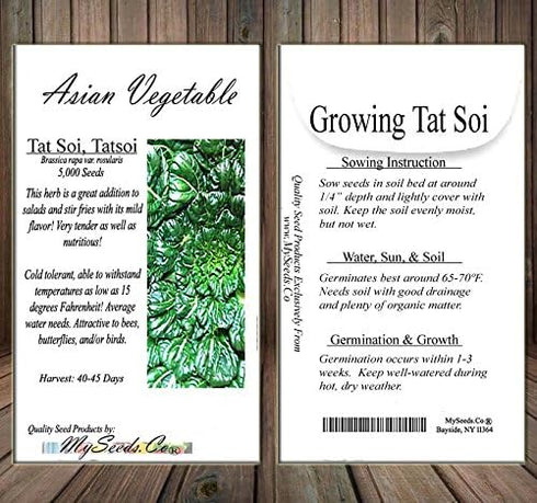 Pack (5,000) Pack Big - Tat SOI Tatsoi Tah Tsai Spinach Seed - Chinese Vegetable - Non-GMO Seeds by MySeeds.Co (Big