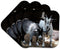 3dRose LLC Pygmy Goat Coaster, Soft, Set of 4