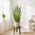 SEQUEDA Wood Plant Stands Indoor, Updated Single Plant Stand Modern Plant Table for Large Plants, Wooden Plant Stool